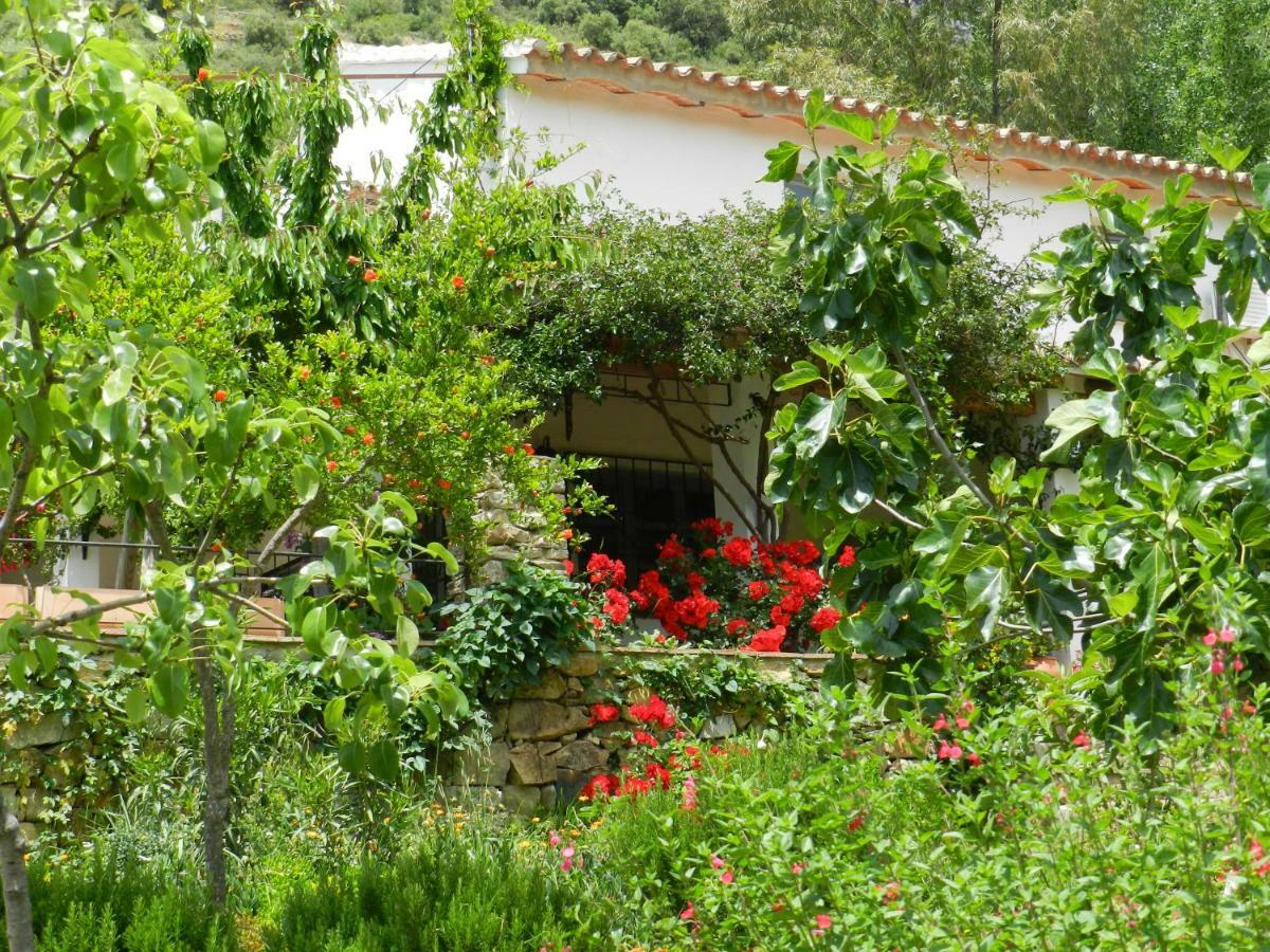 La Fontana Cortes de la Frontera Exterior foto